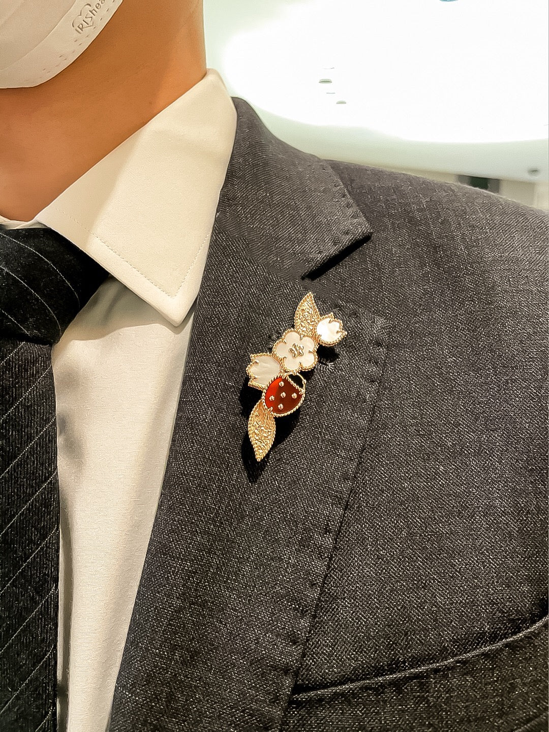 Ladybug brooch/B-106