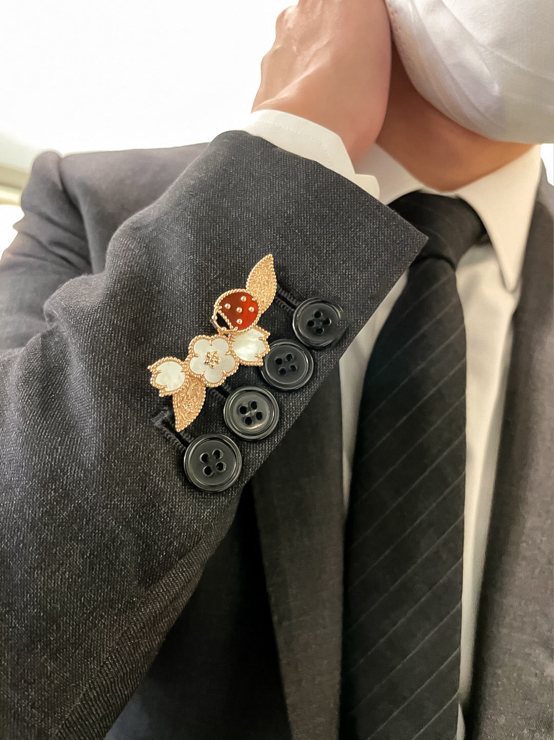Ladybug brooch/B-106