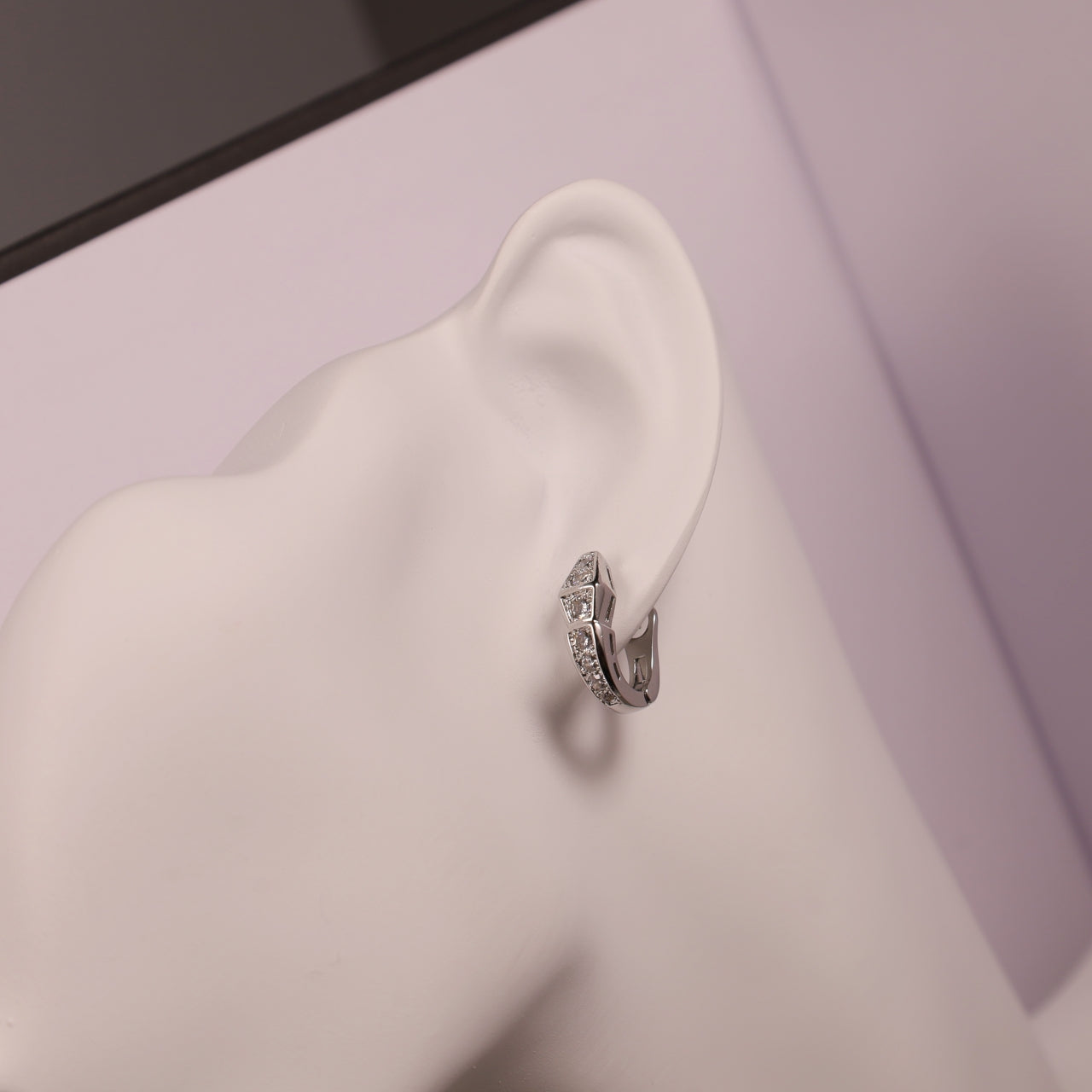 Snake Bone Earrings/B-056