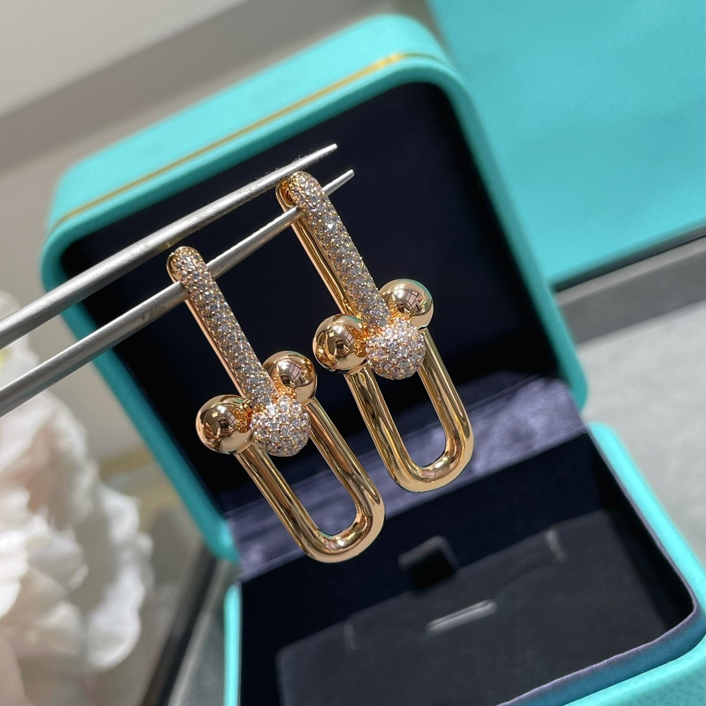 Double U-shaped horseshoe earrings/B-068