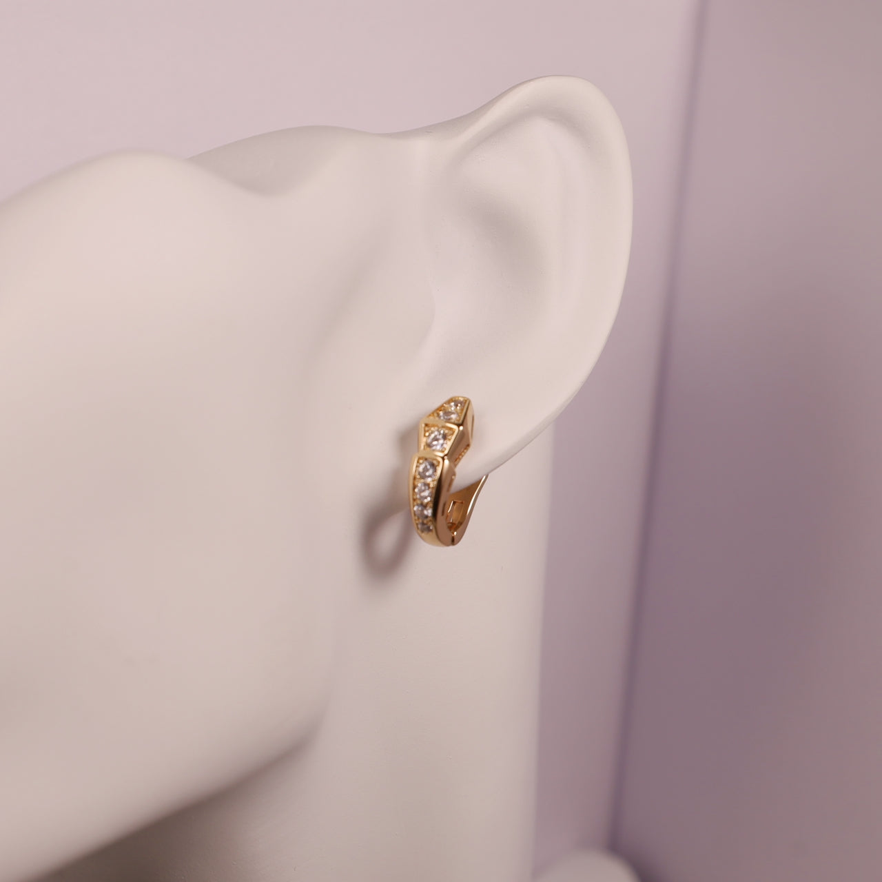 Snake Bone Earrings/B-056