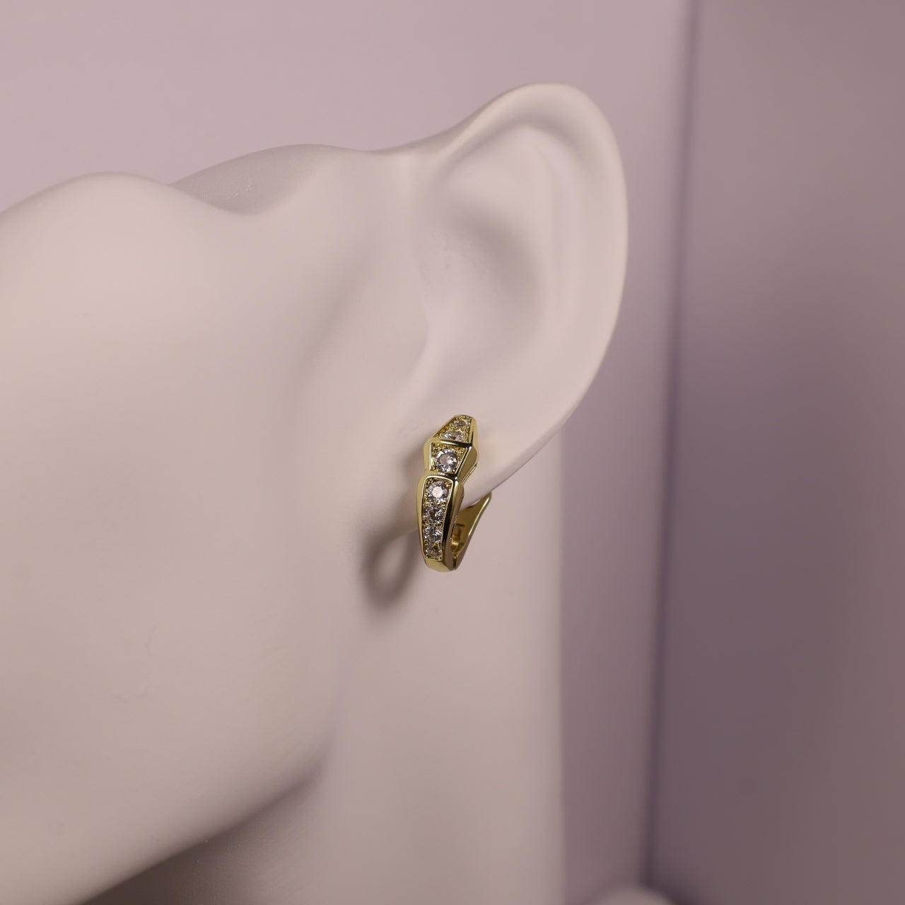 Snake Bone Earrings/B-056