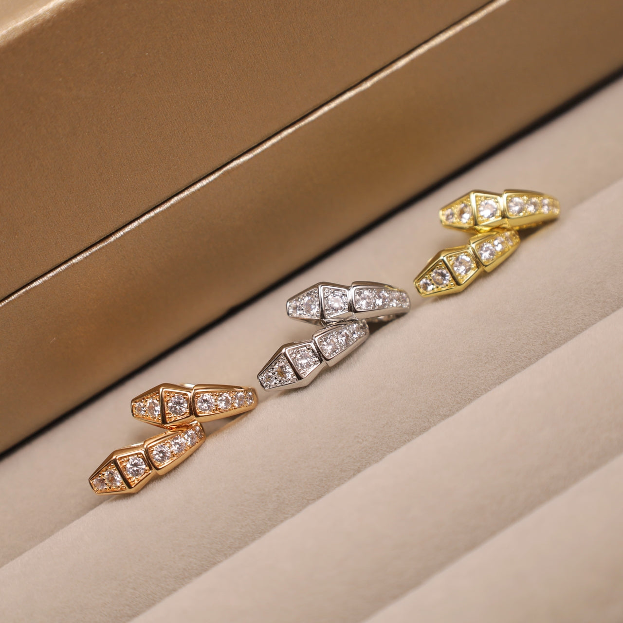 Snake Bone Earrings/B-056