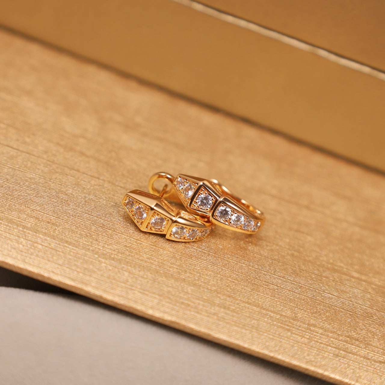 Snake Bone Earrings/B-056