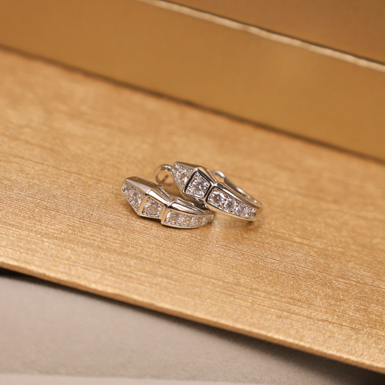 Snake Bone Earrings/B-056
